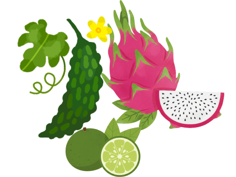 沖縄果物イラスト