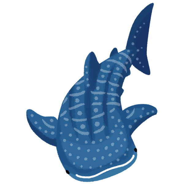 沖縄果物イラスト