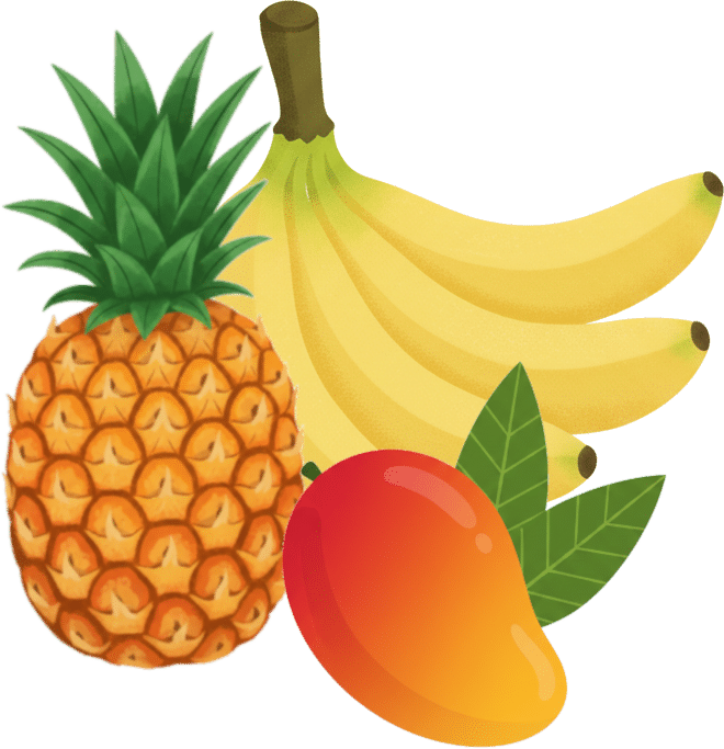 沖縄果物イラスト